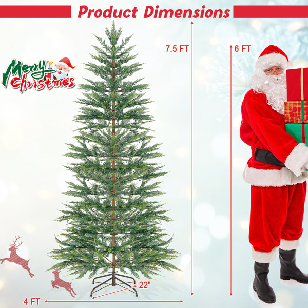 The Holiday Aisle® Lighted Cypress Christmas Tree with Realistic